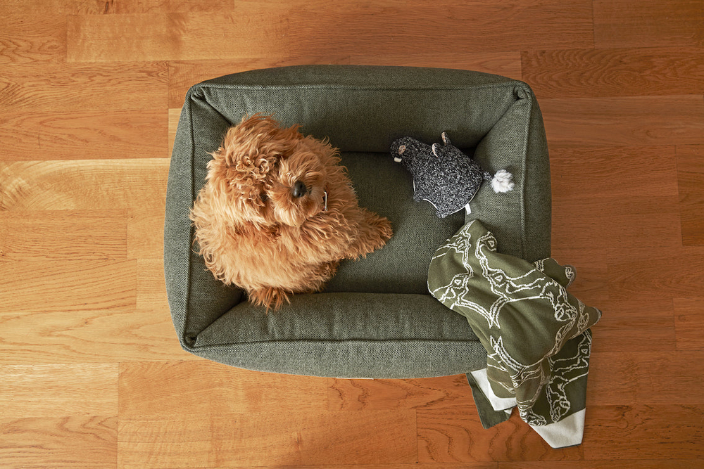 Product rollover image