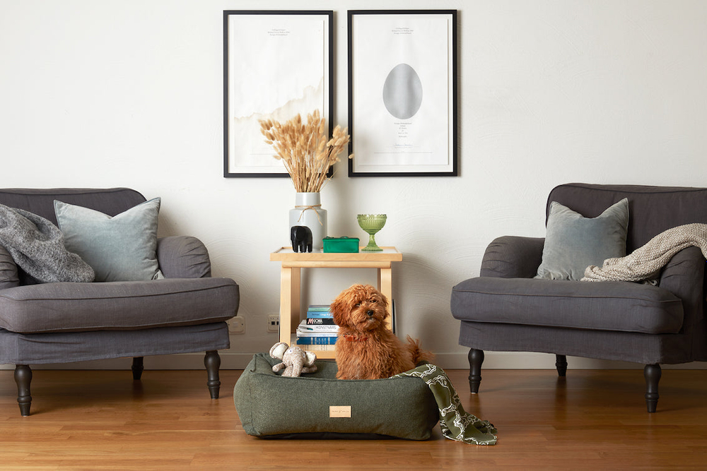 Product-img