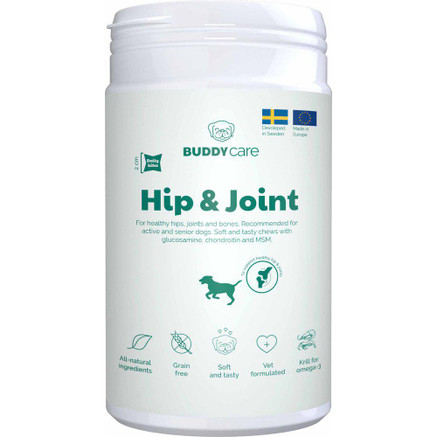 Hip & Joint