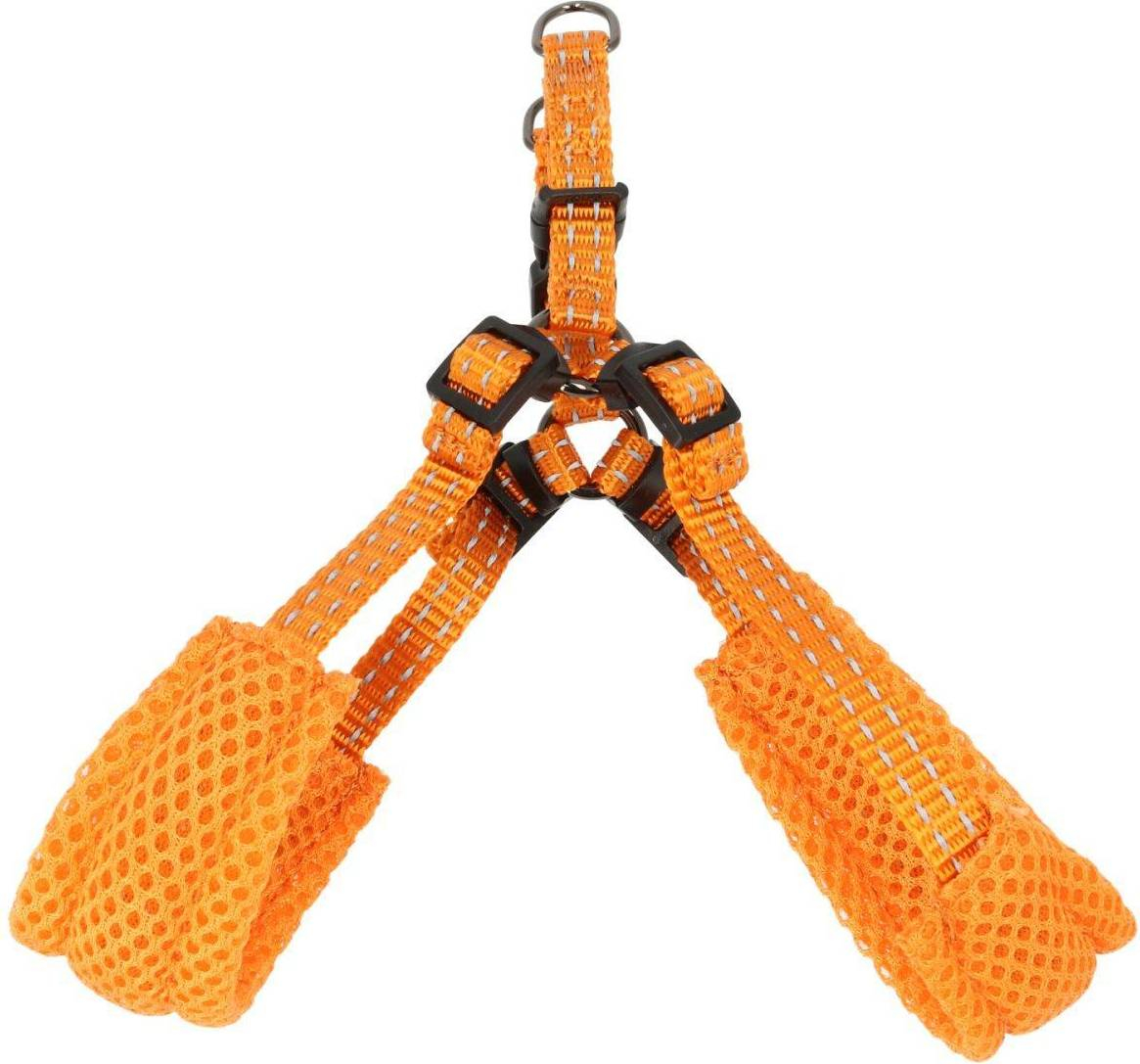 Step-In Hundsele Iris Orange XS/S