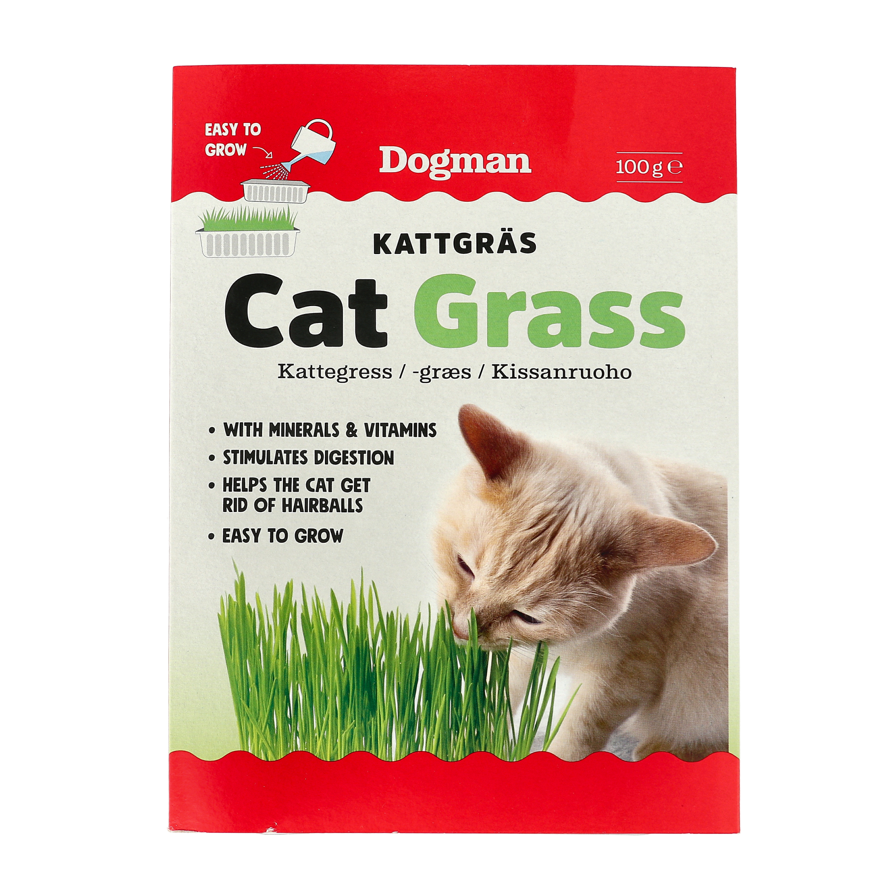 Kattgräs 100g