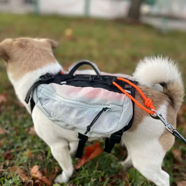 Trail Light Dog Backpack Unisex Glacier Gray