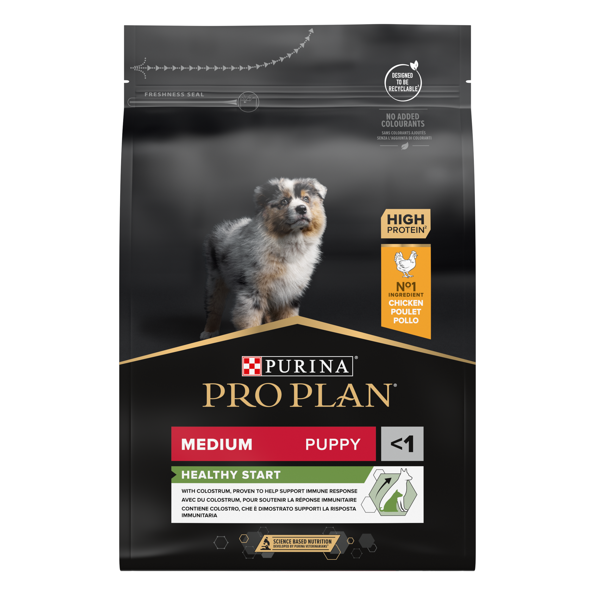 Dog Medium Puppy Kyckling