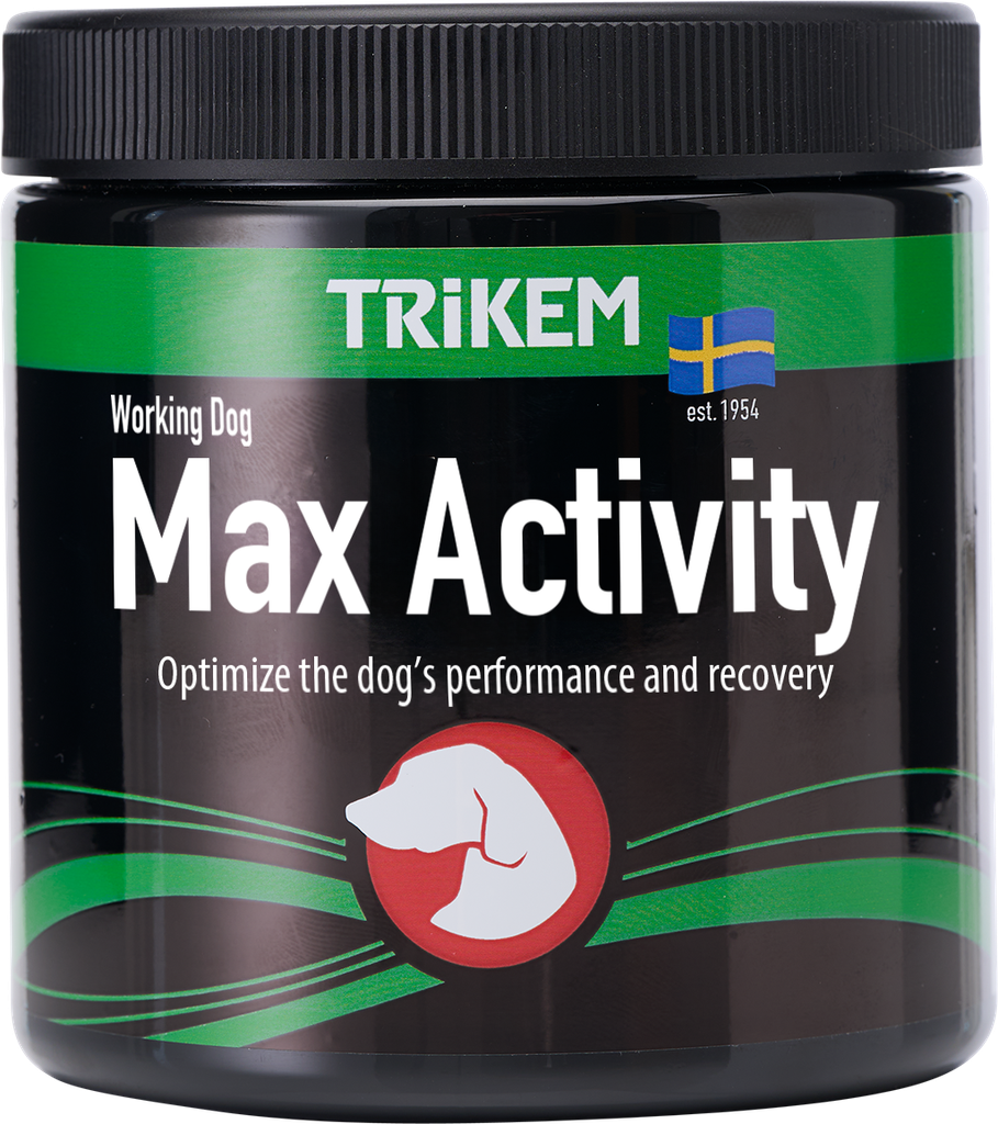 Working Dog MaxActivity