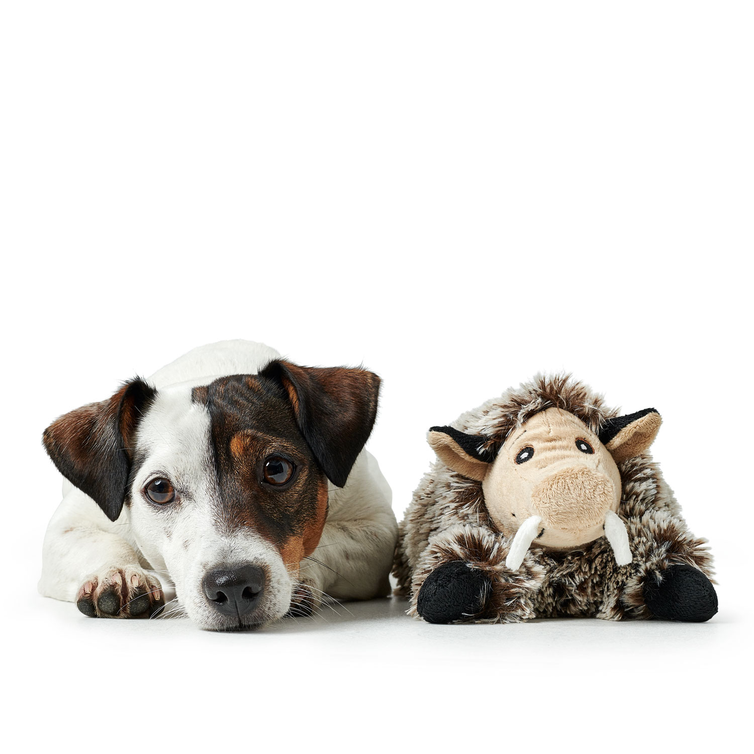 Product rollover image