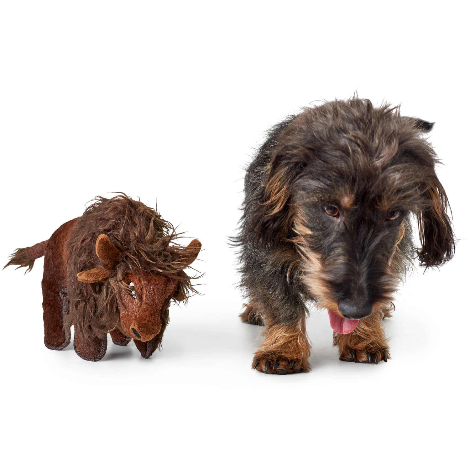 Product rollover image