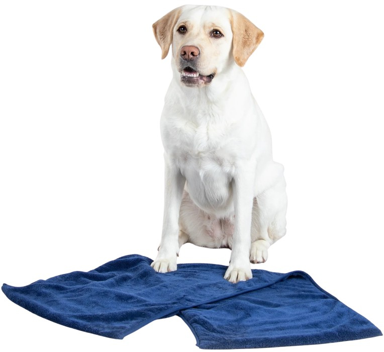 Product rollover image