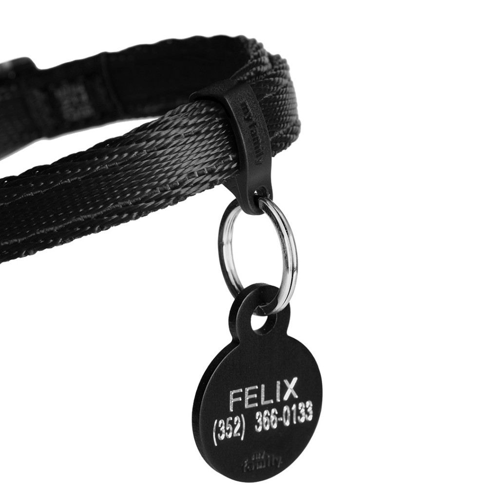 Product rollover image