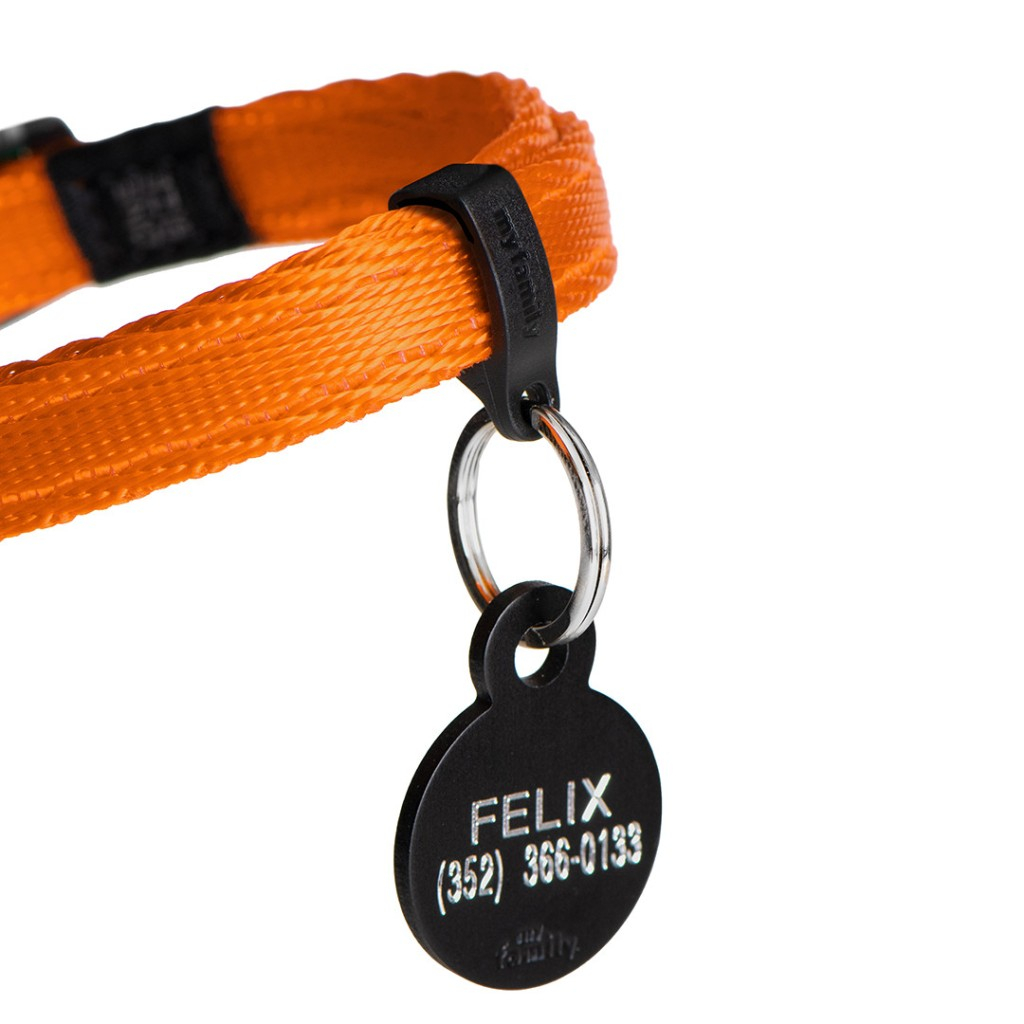 Product rollover image