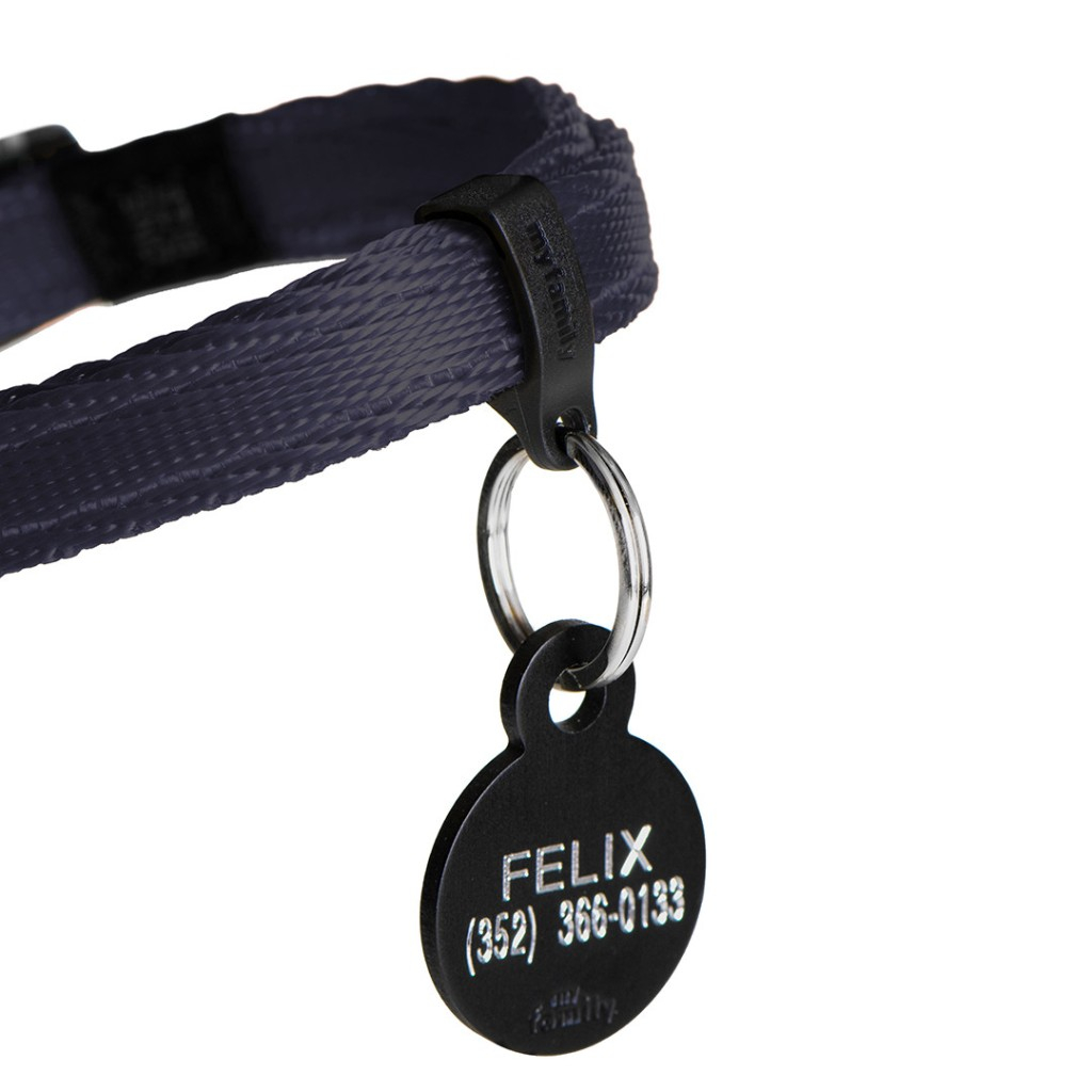 Product rollover image