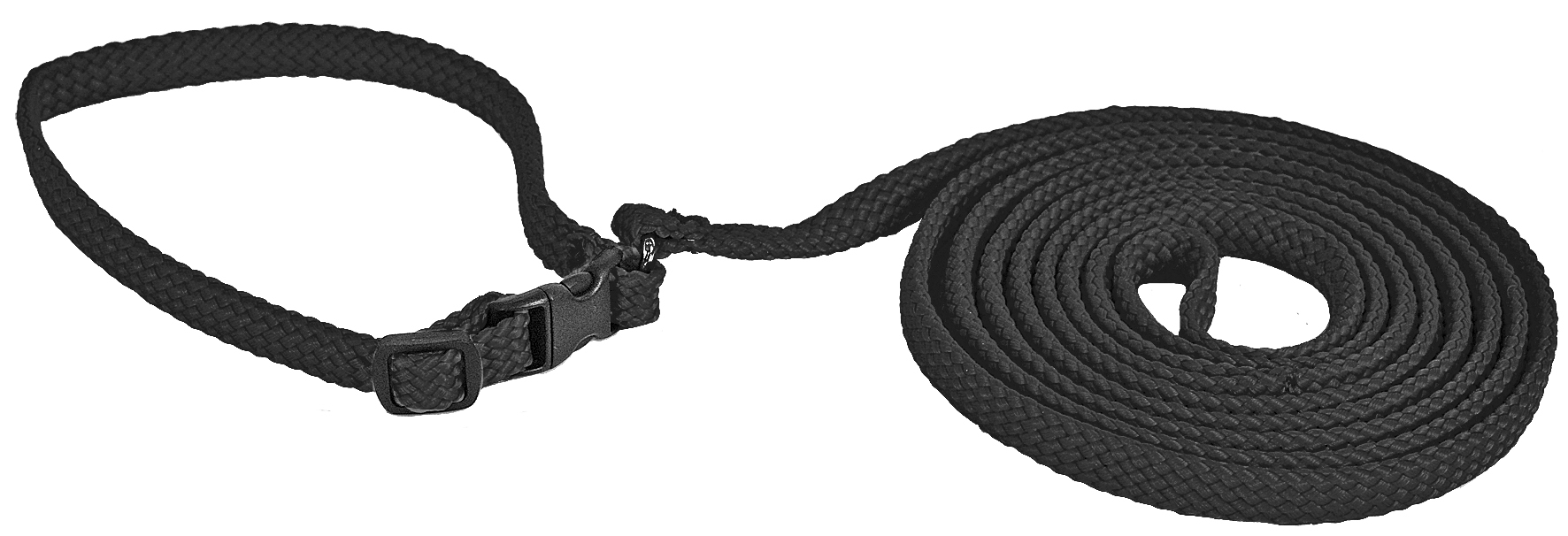 Hundhalsband+Hundkoppel Svart