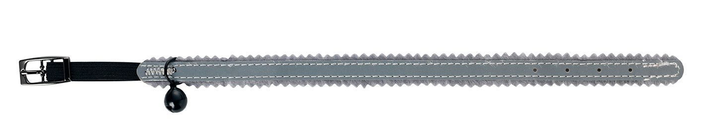 Product rollover image