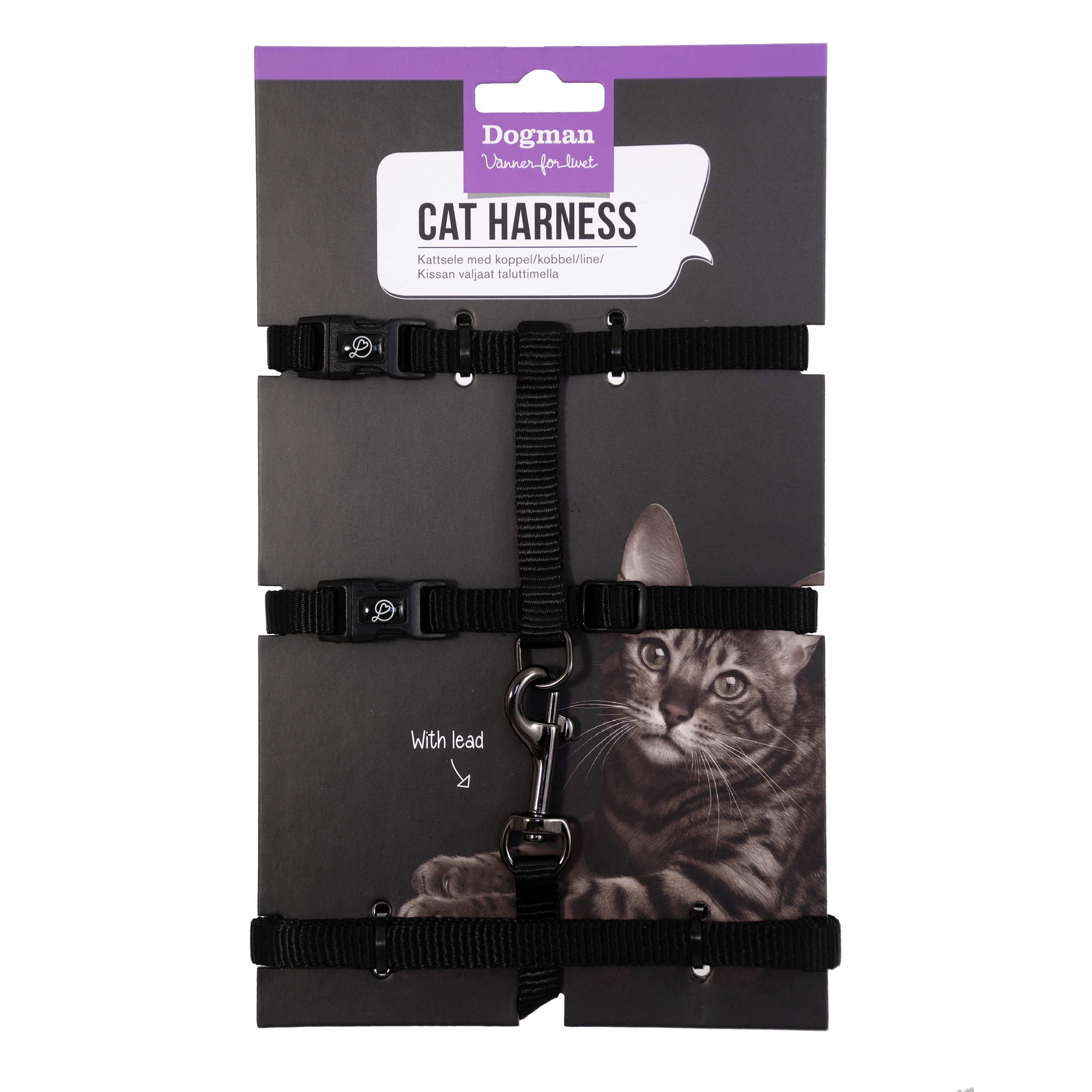 Kattsele-Set Findus Svart
