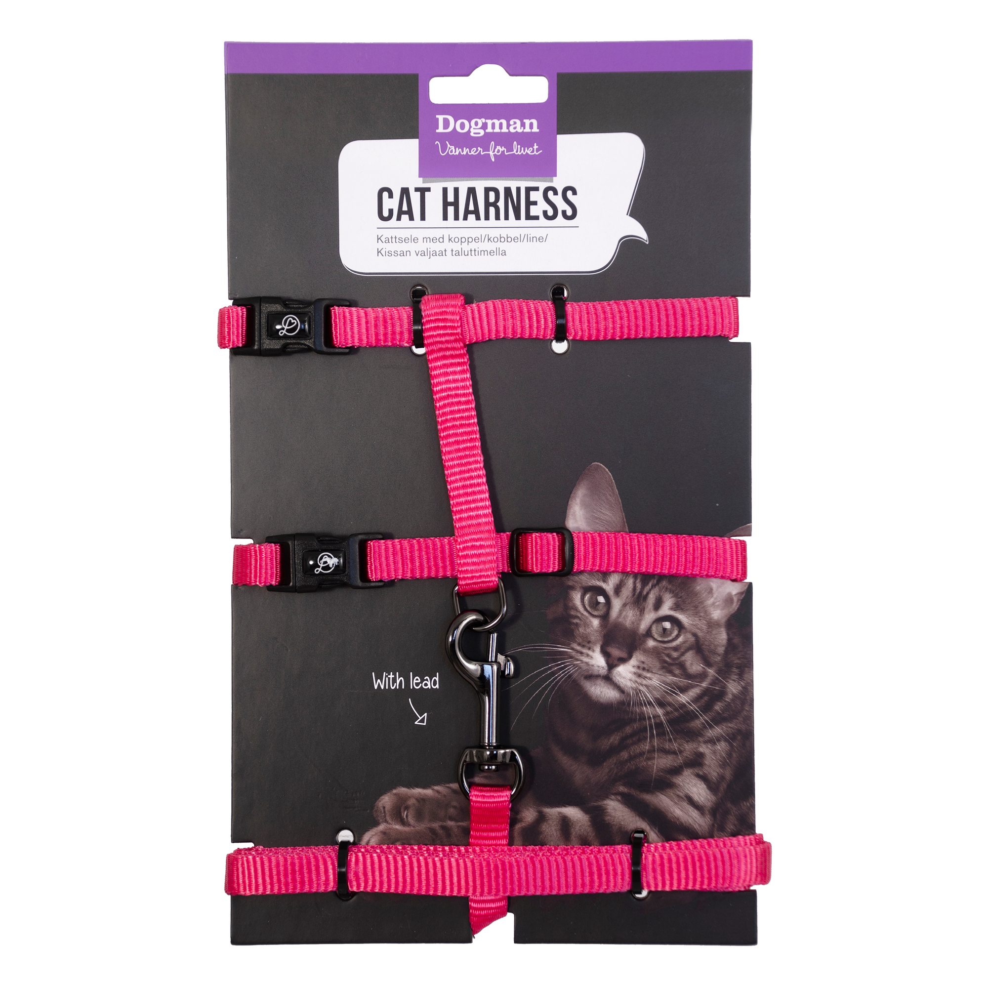 Kattsele-Set Findus Rosa
