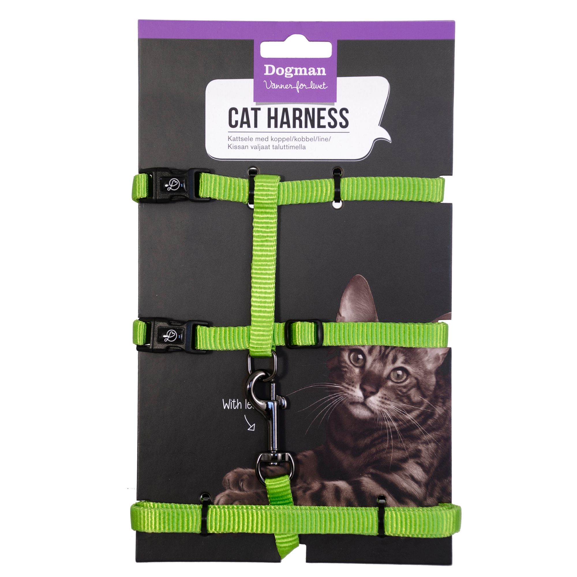 Kattsele-Set Findus Grön