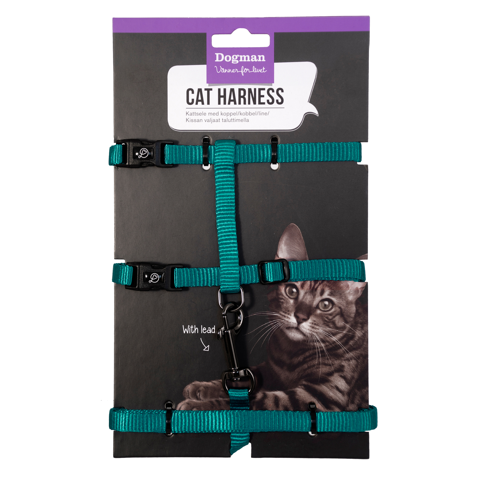 Kattsele-Set Findus Turkos