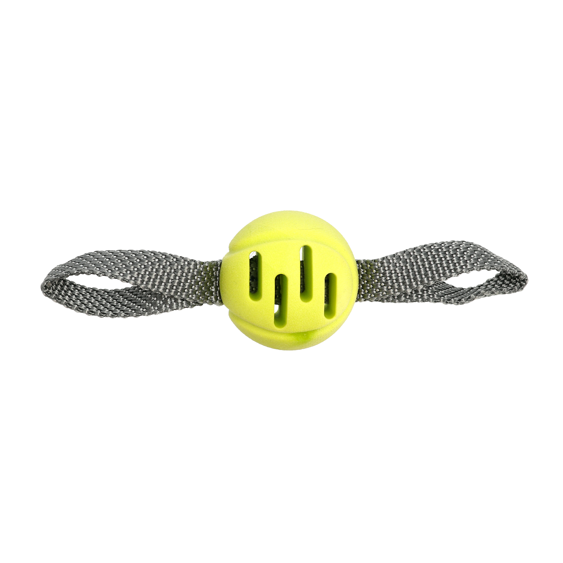 Leksak FetchBall Grön