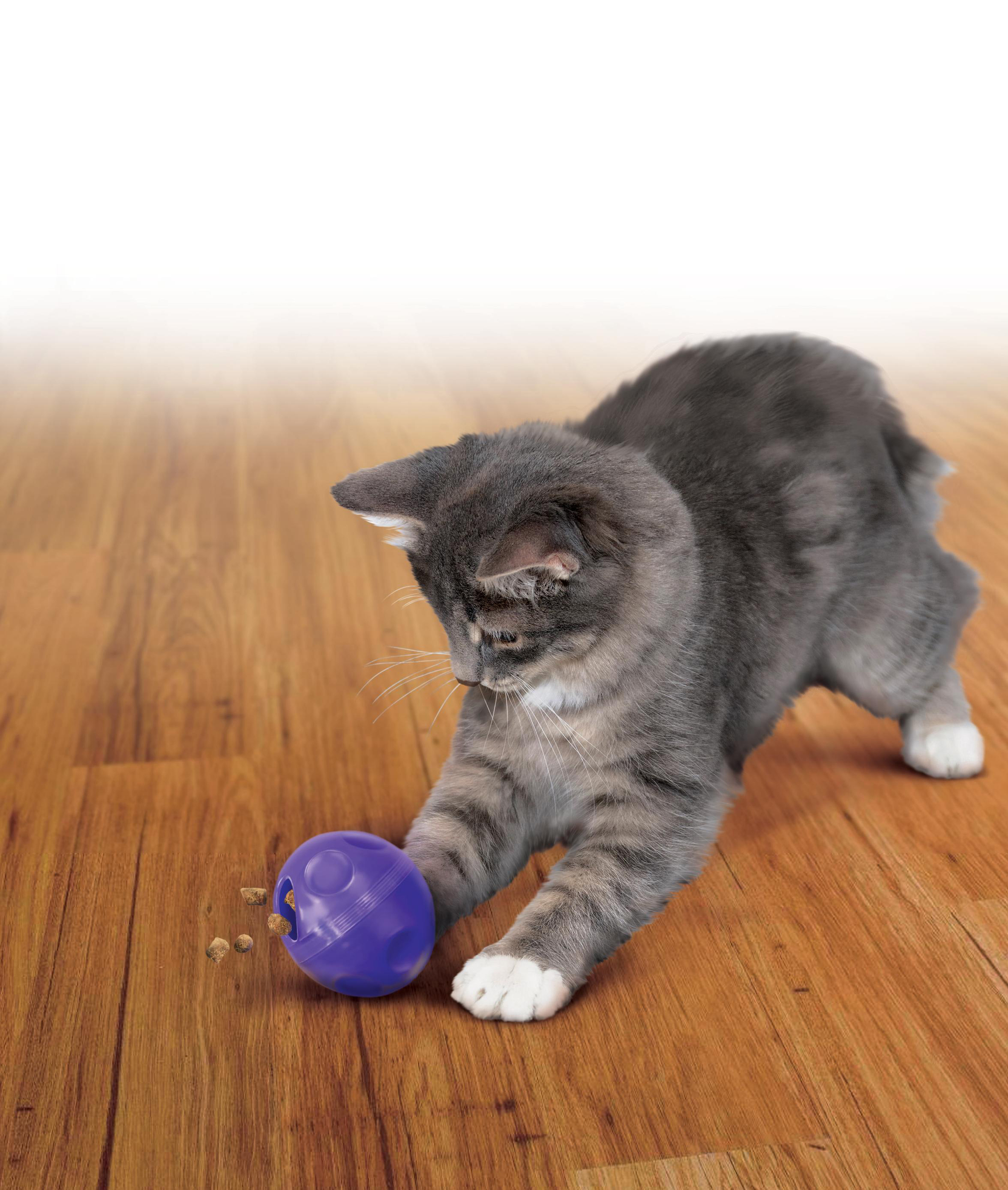 Product rollover image