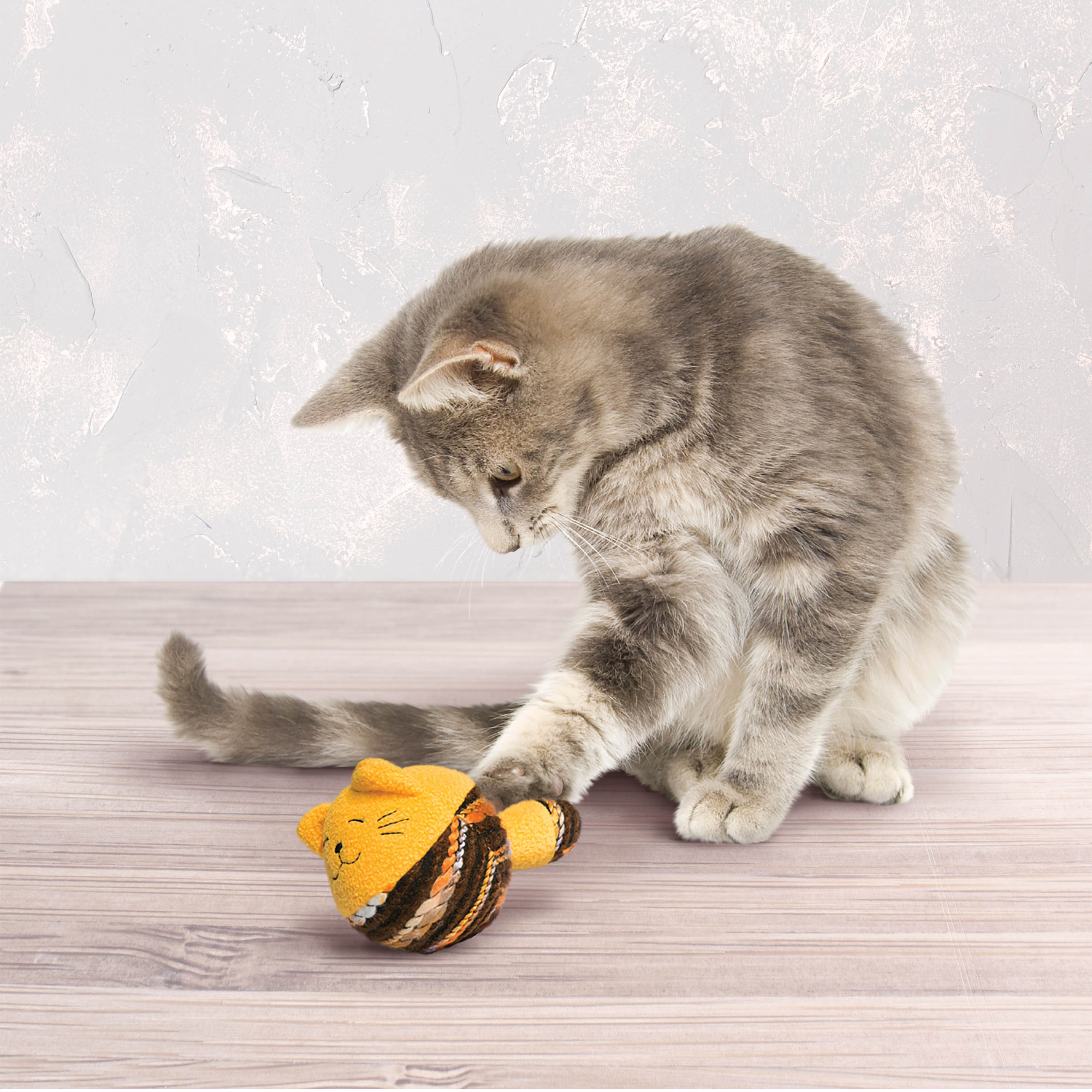 Product rollover image