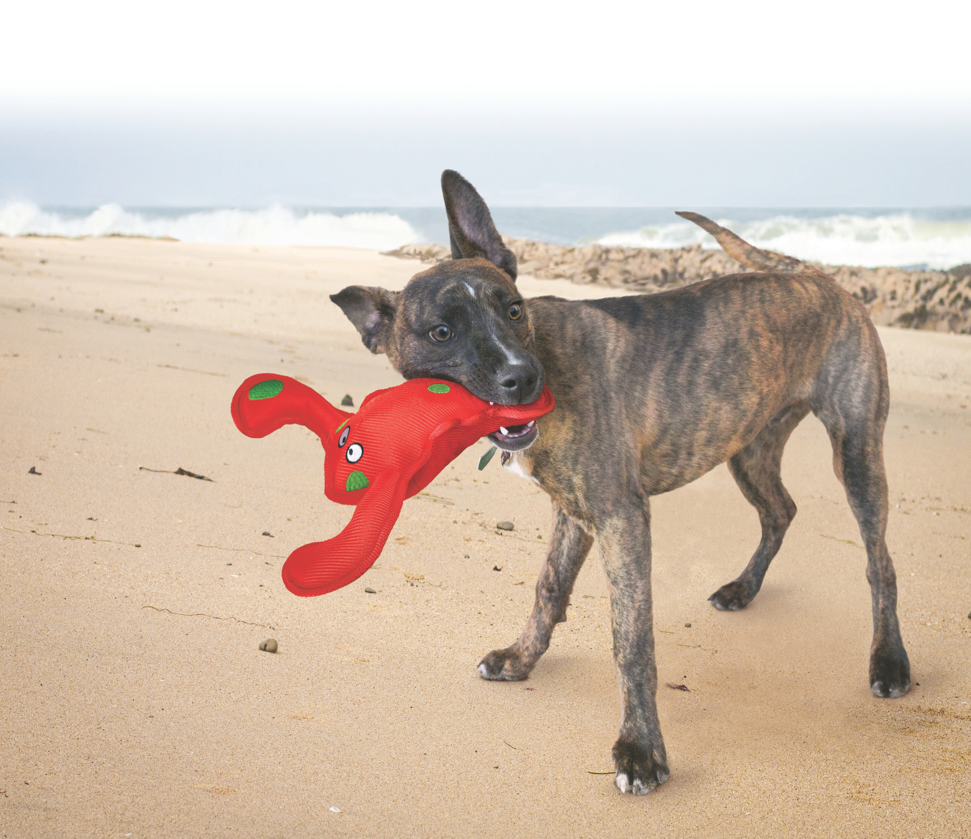 Product rollover image