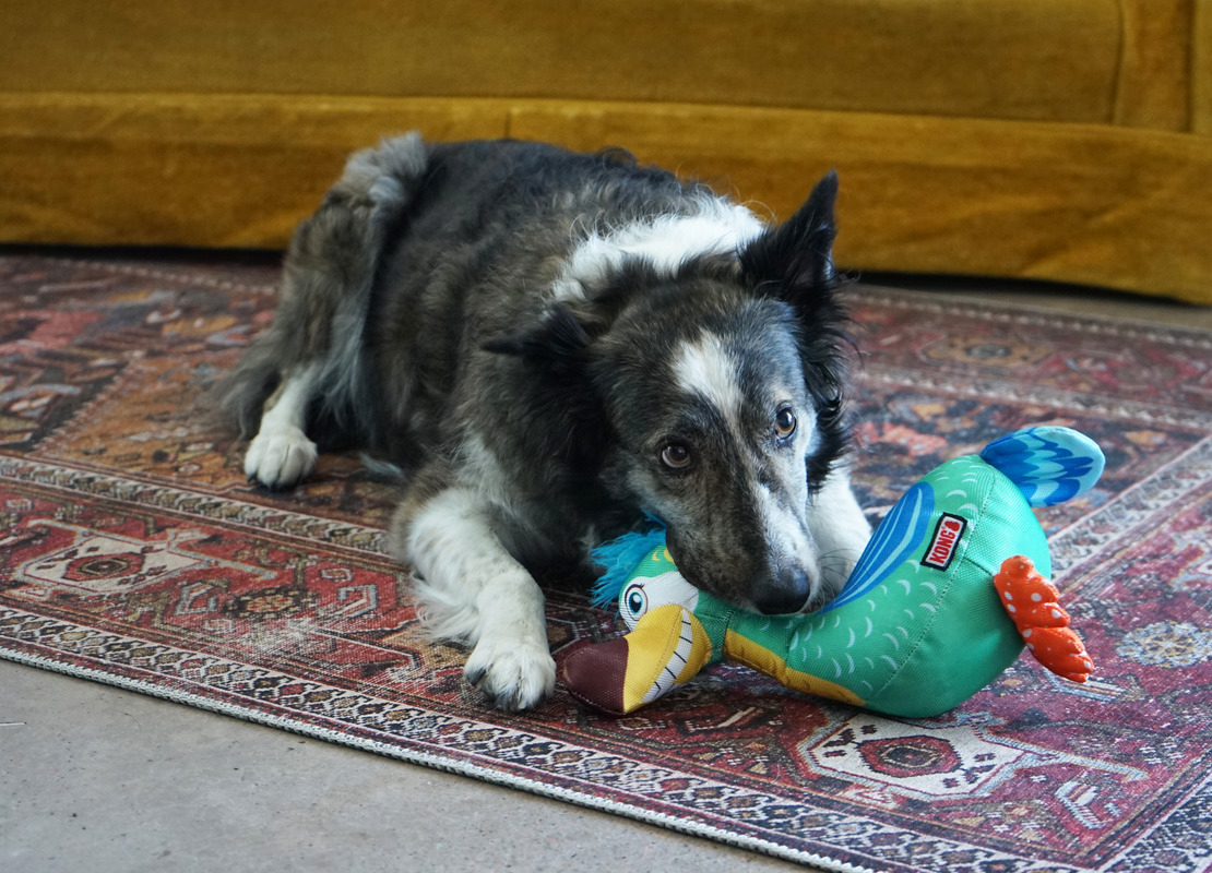 Product rollover image