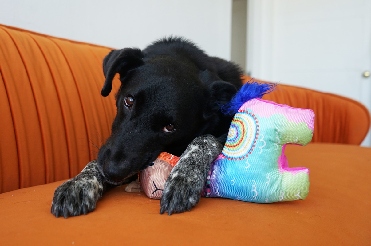 Product rollover image