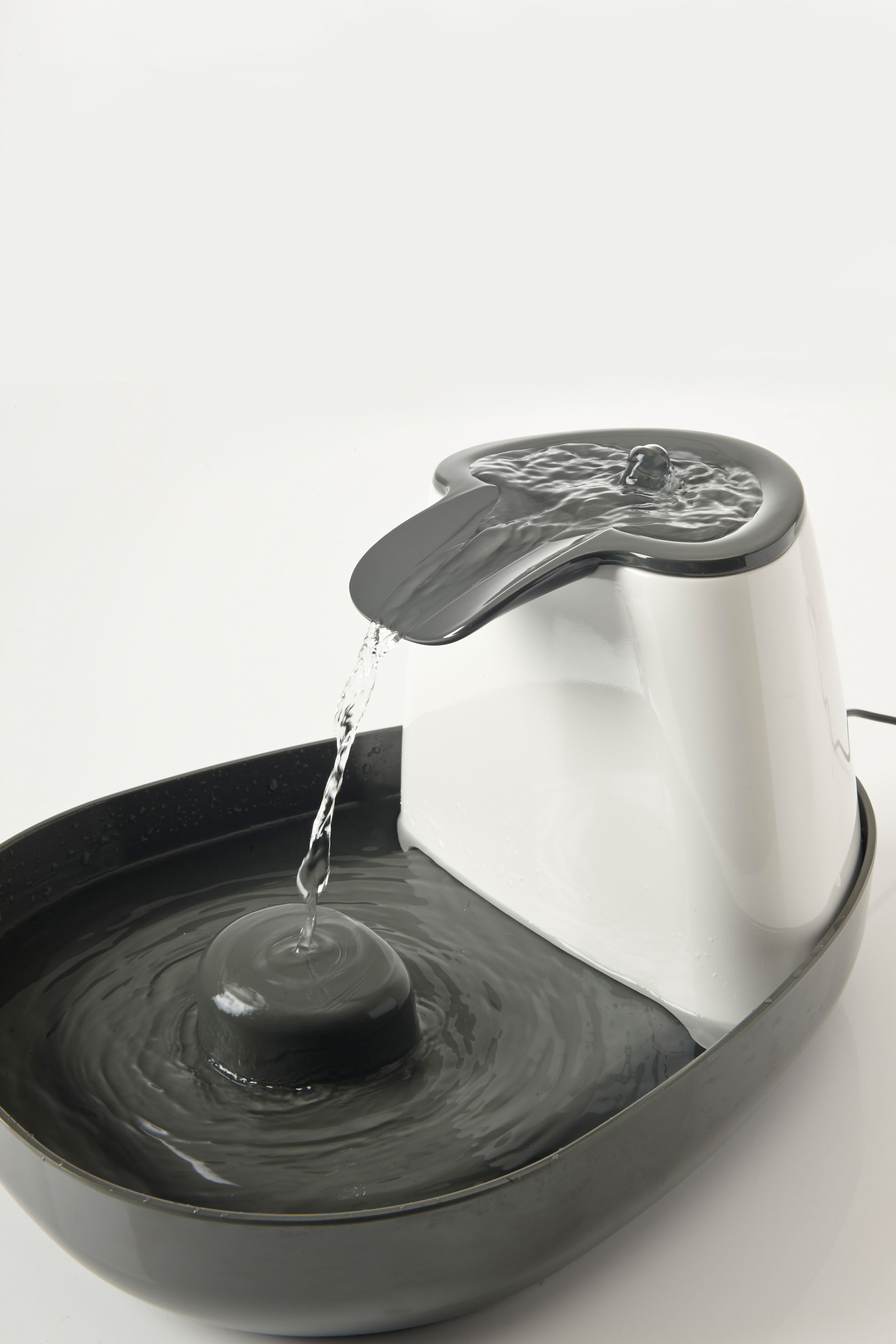 Product rollover image