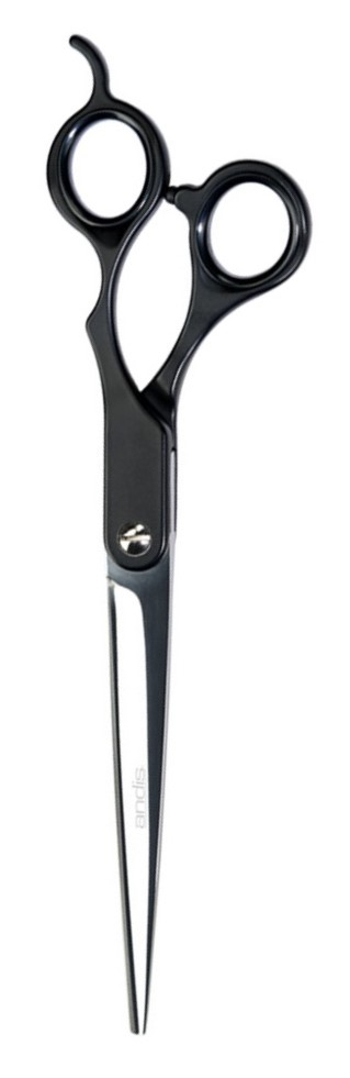 Product rollover image