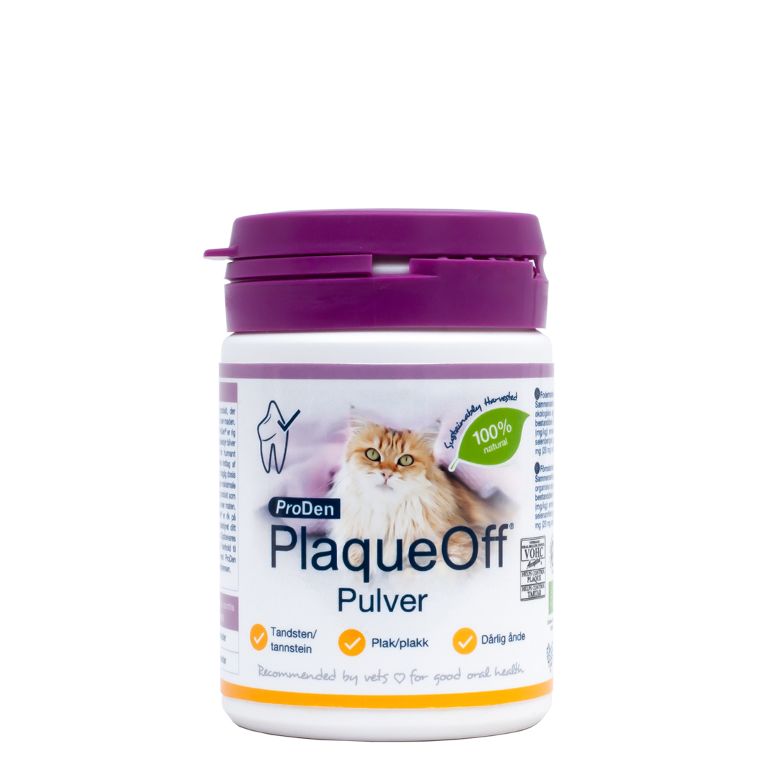 Original pulver Katt 40g