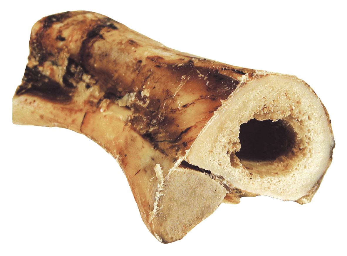 Torkat Oxben Märgpipa