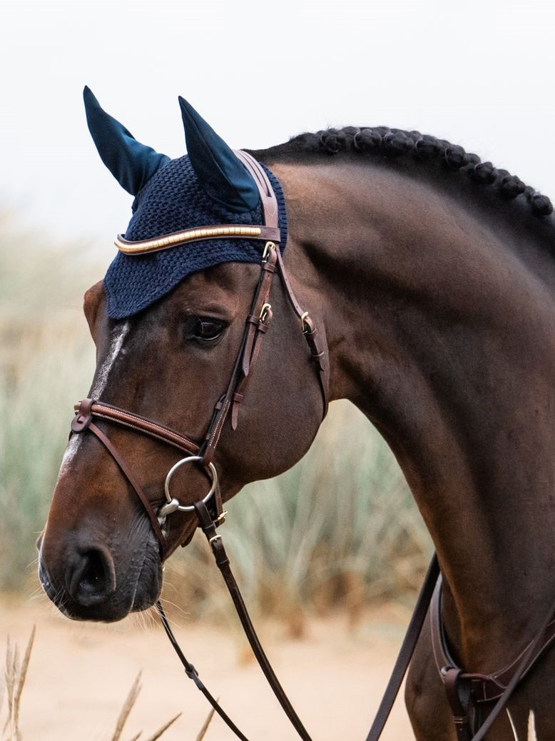 Product rollover image