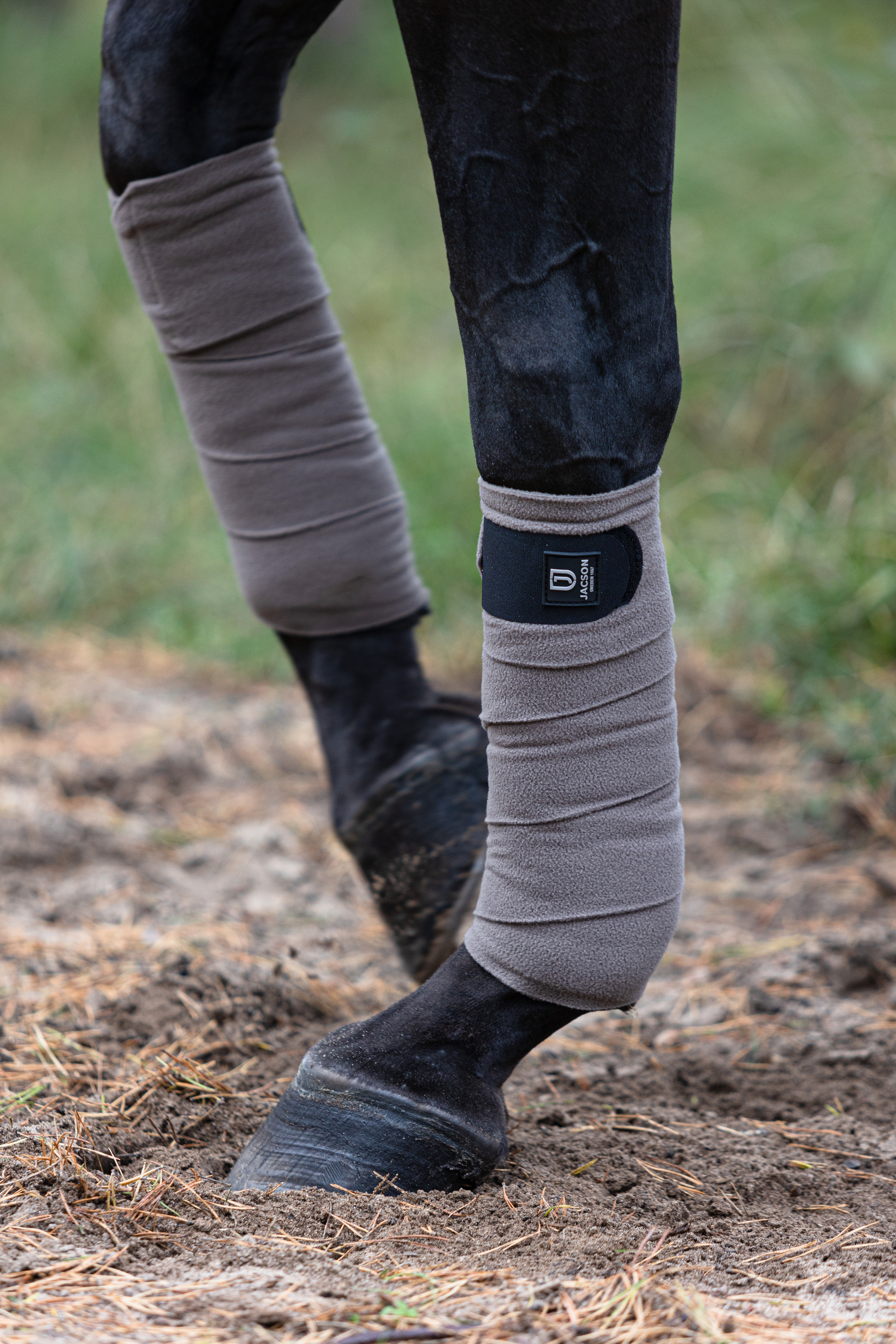 Product rollover image