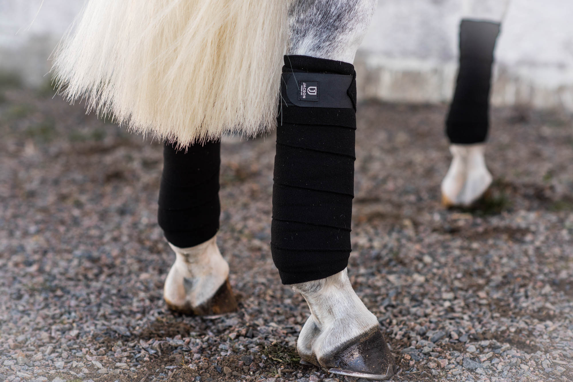 Product rollover image