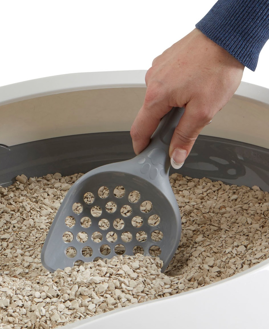 Kattspade Scoop Macro Osorterade Färger