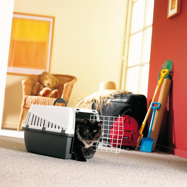 Product rollover image