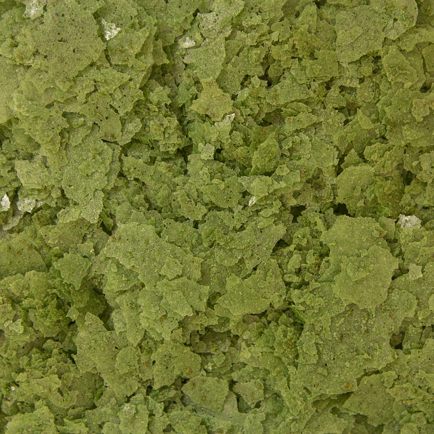 Spirulina Flingor 71g