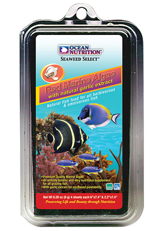 Red Seaweed 8g