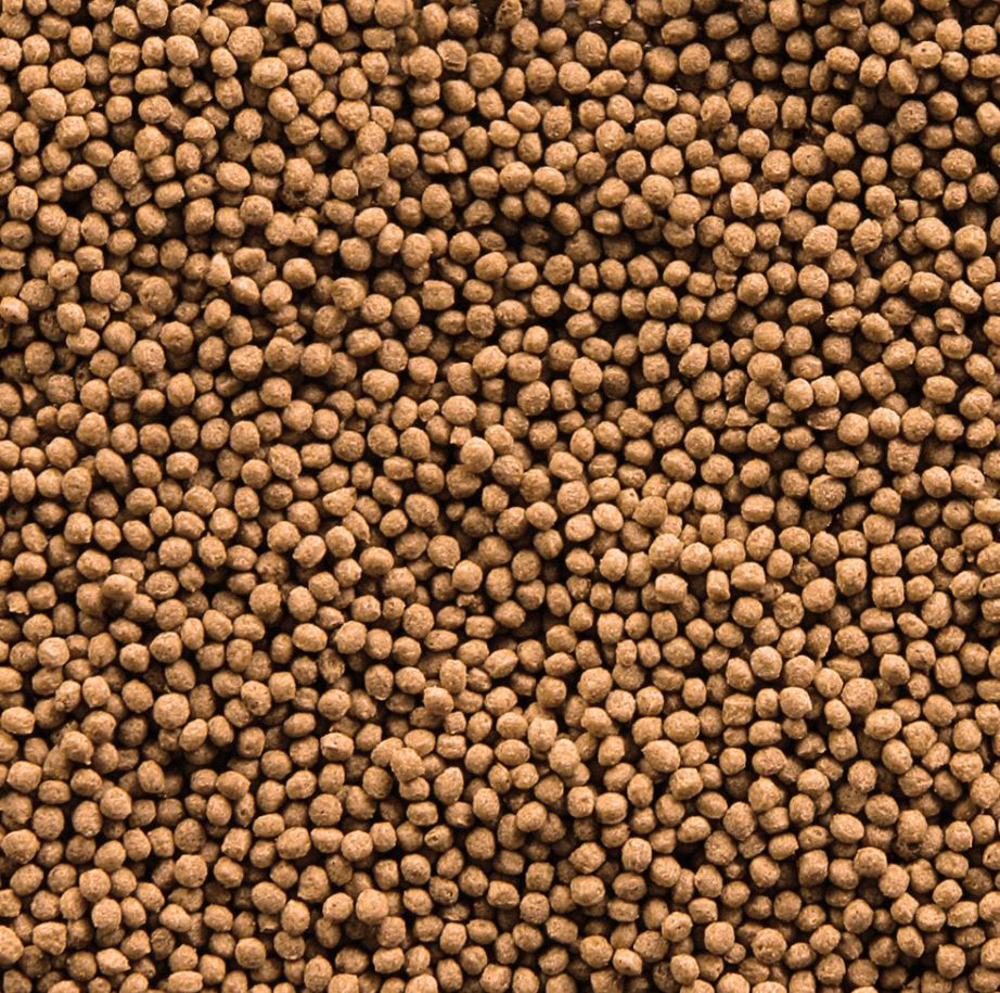Koi Royal Pellets 1000ml