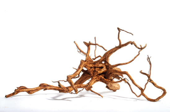 Red Moor Wood Mini Akvariedekoration