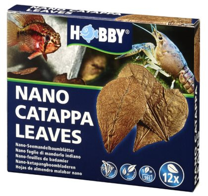 Catappa Leaves Nano 12st