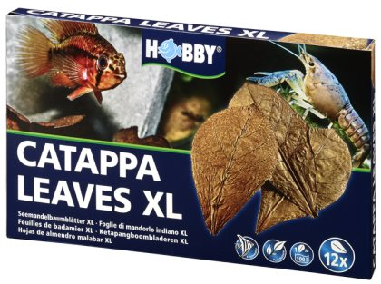 Catappa Leaves XL 12st