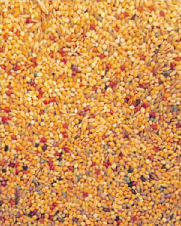 Frömix Undulat 1kg