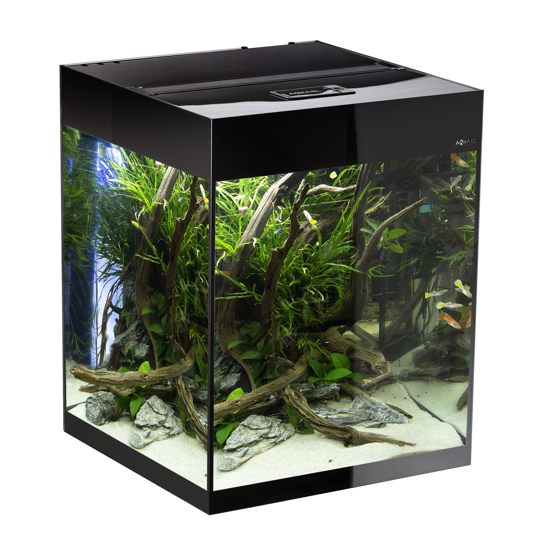 Akvarium Glossy Cube Svart