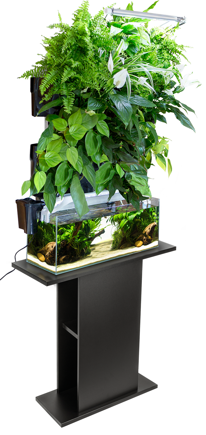 Product rollover image