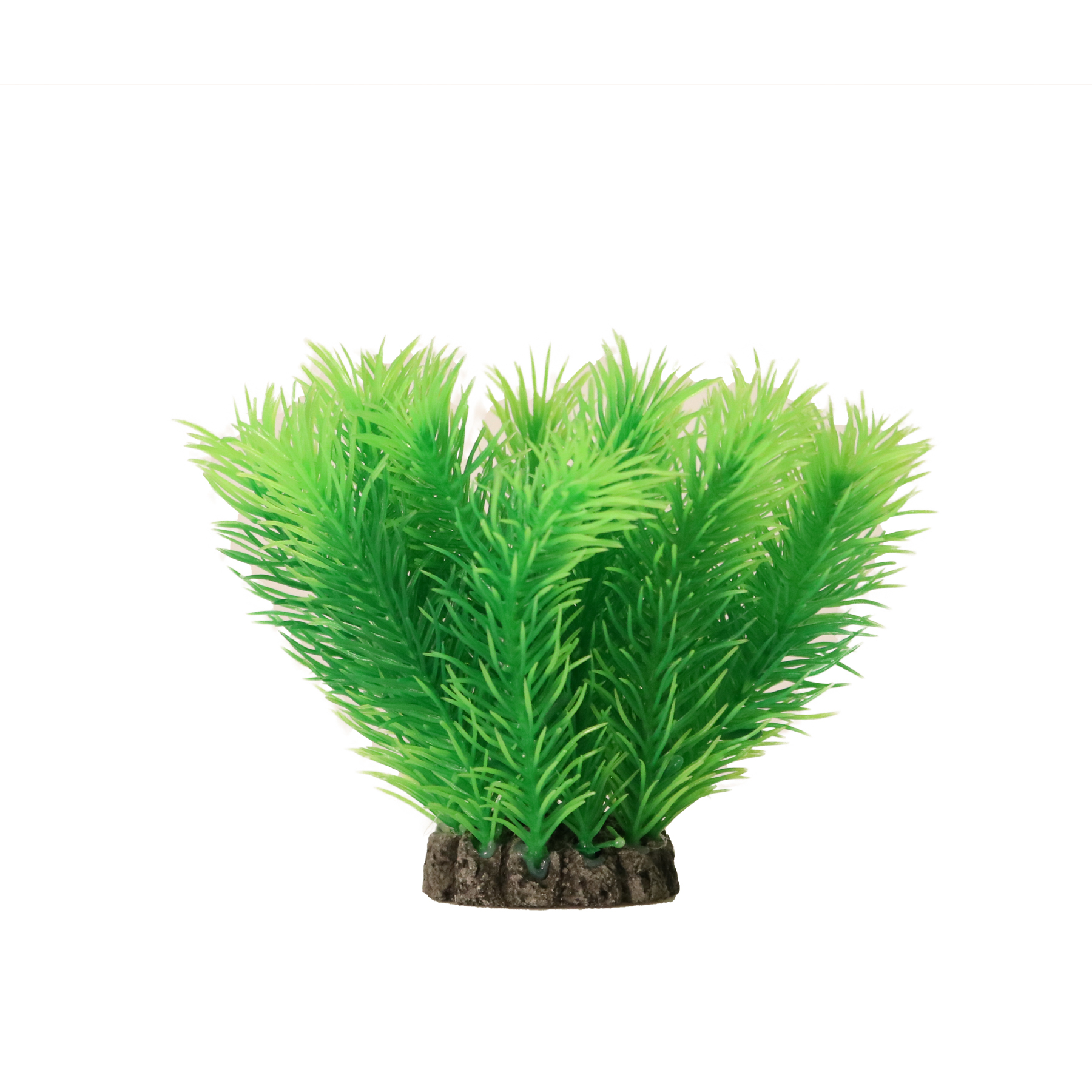 Dekorväxt 10cm