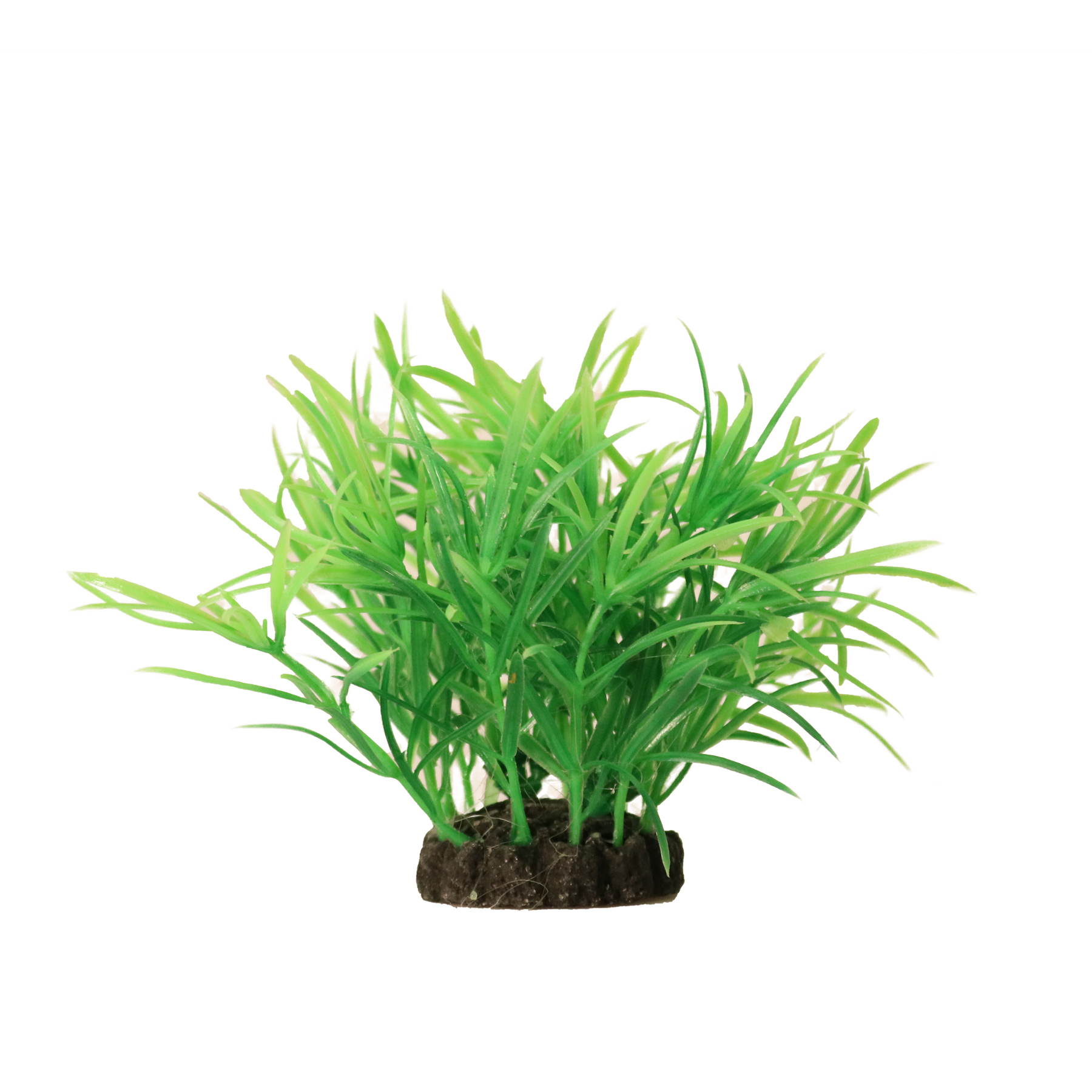 Dekorväxt 10cm