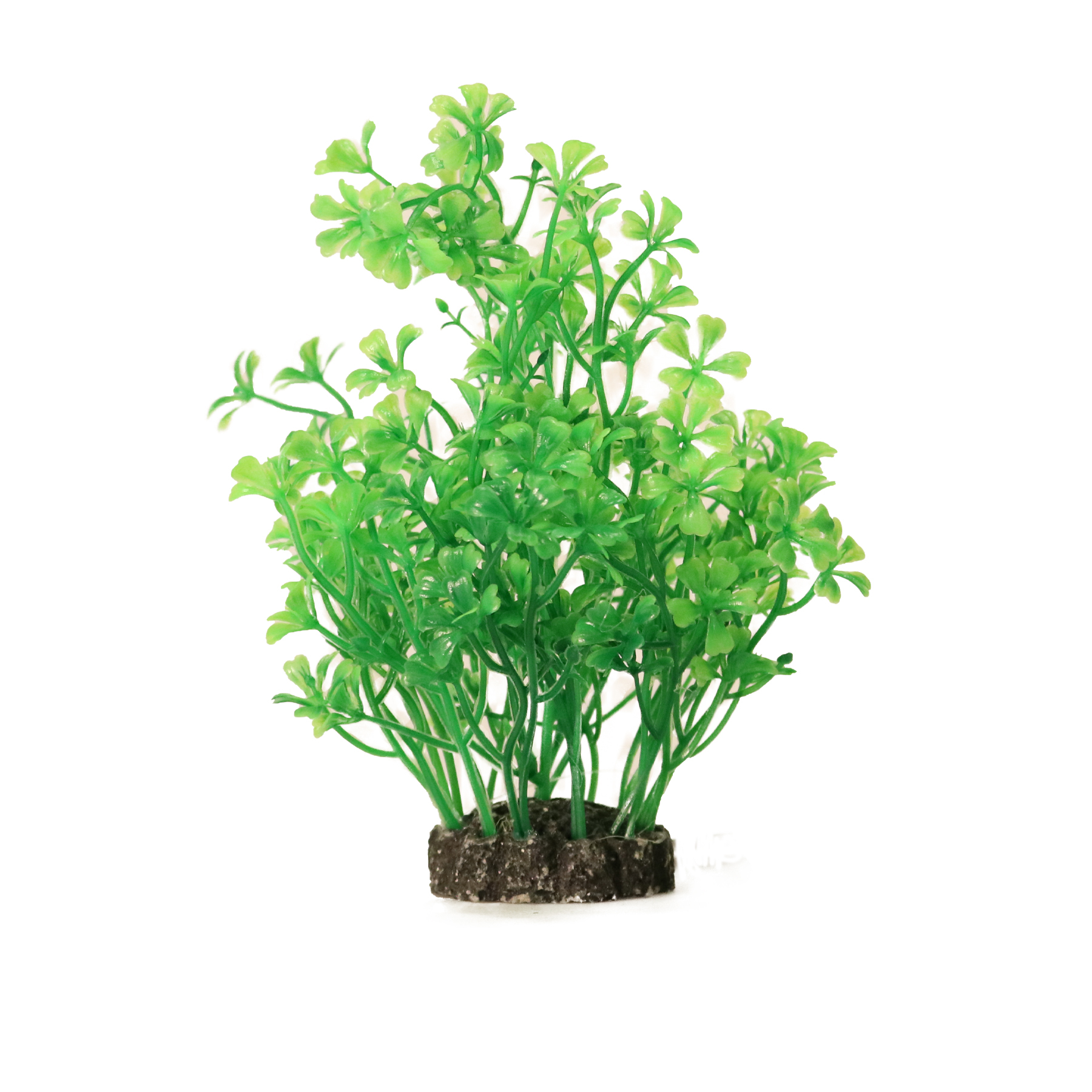 Dekorväxt 15cm