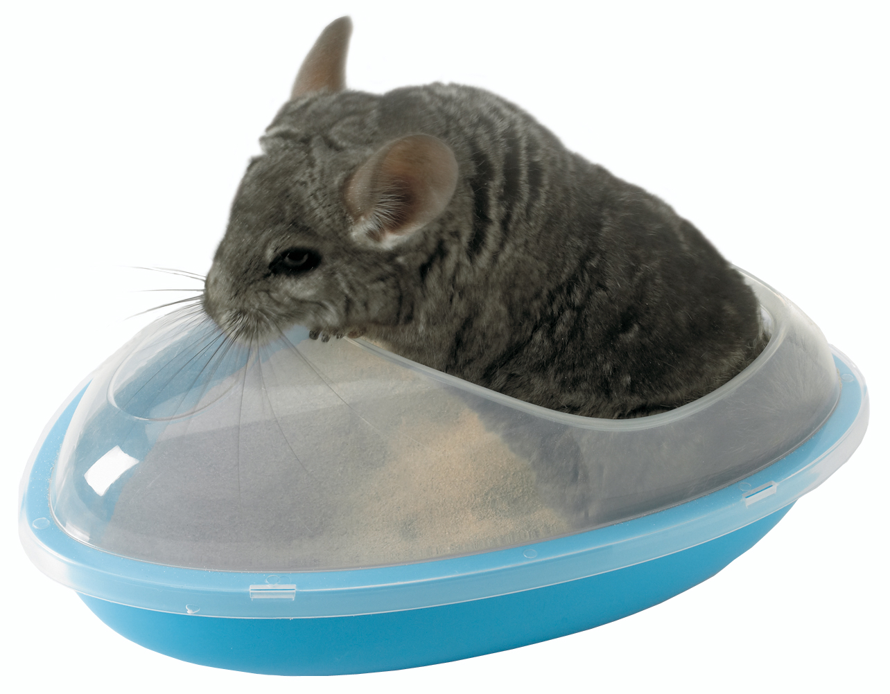 Product rollover image