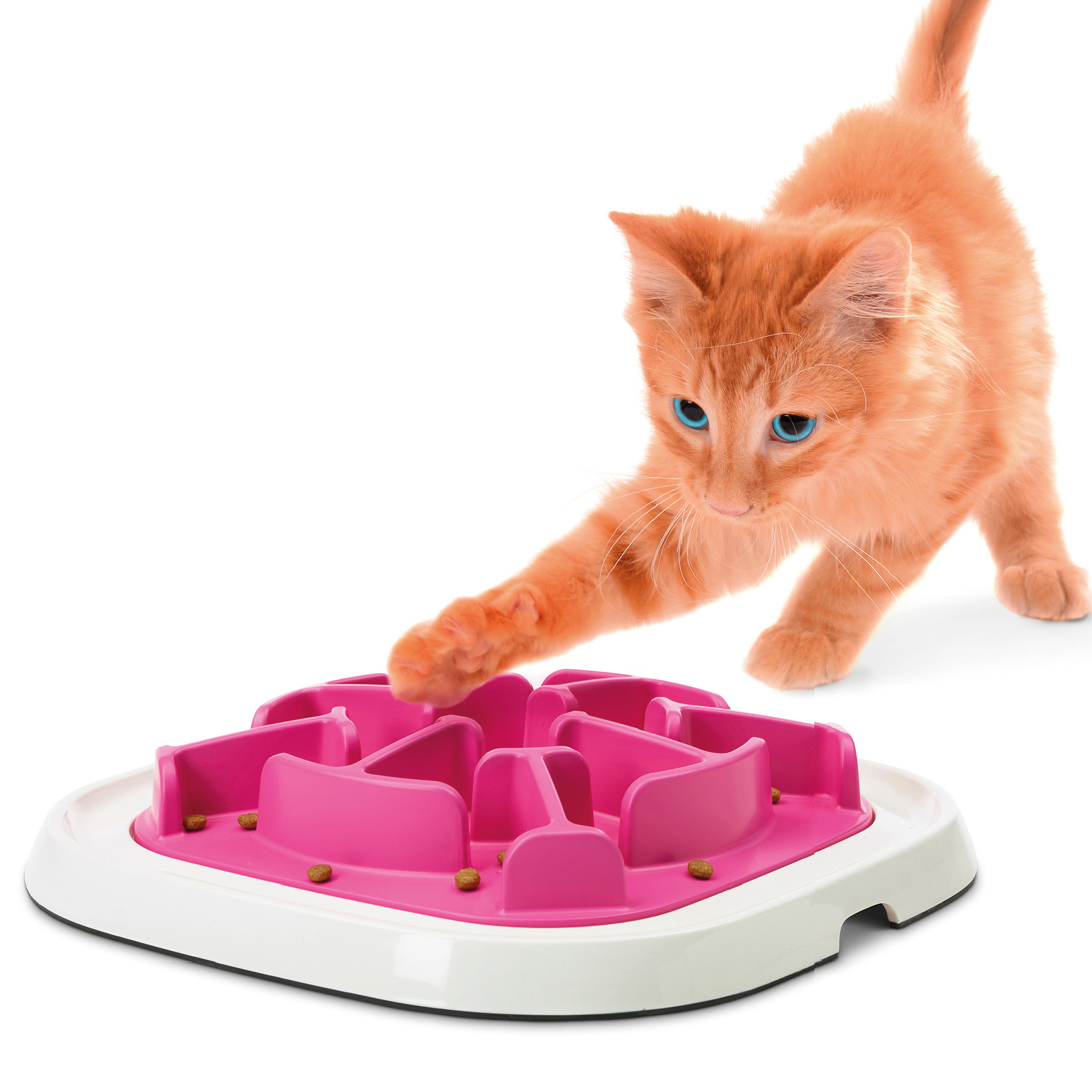 Product rollover image