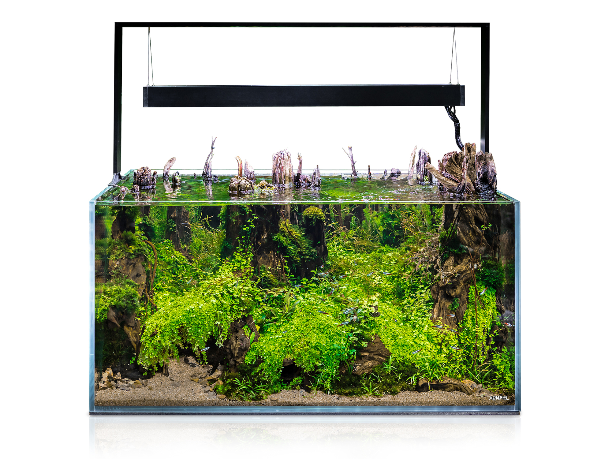 Ultrascape 90 Forest